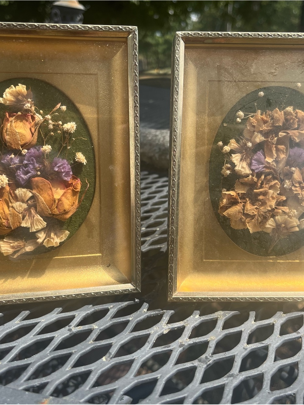Framed Dried Flower Wall Art in Gold Frame - Set of 2